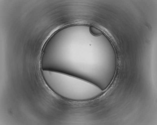X0000113311236200909140959
