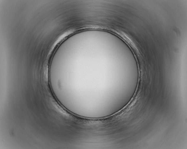 X0000113311238200909140959