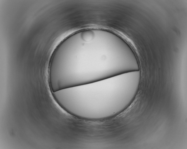 X0000113311239200909140959