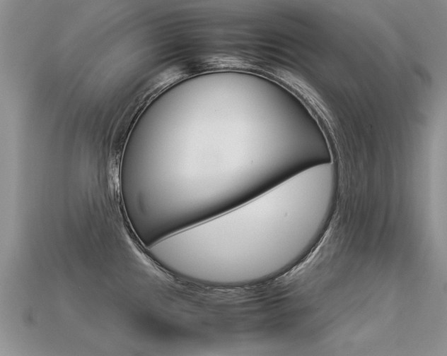 X0000113311241200909140959