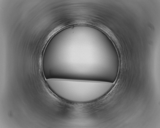 X0000113311242200909140959