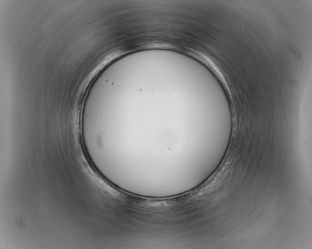 X0000113311243200909140959
