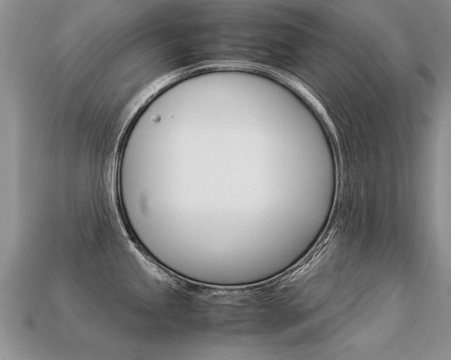 X0000113311245200909140959