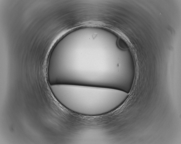 X0000113311248200909141000