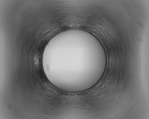 X0000113311250200909140959