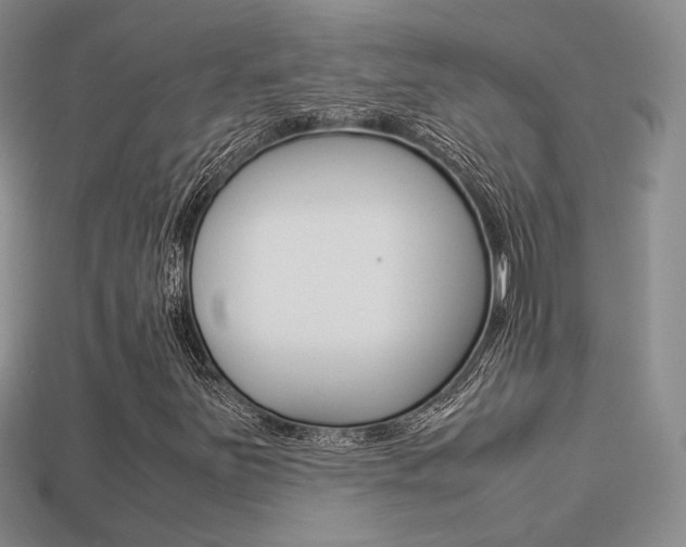 X0000113311251200909140959
