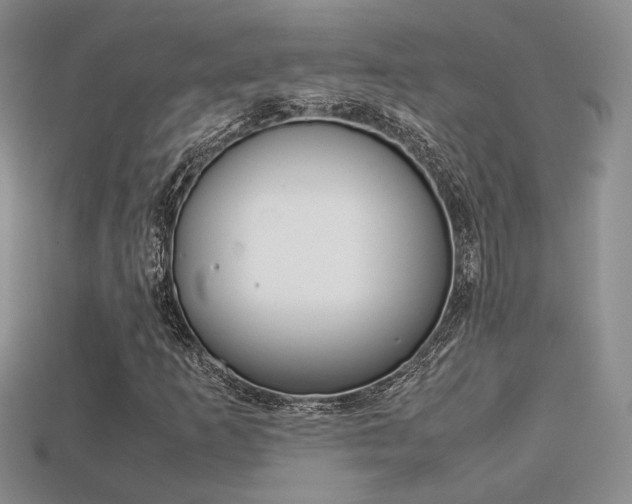 X0000113311253200909140959