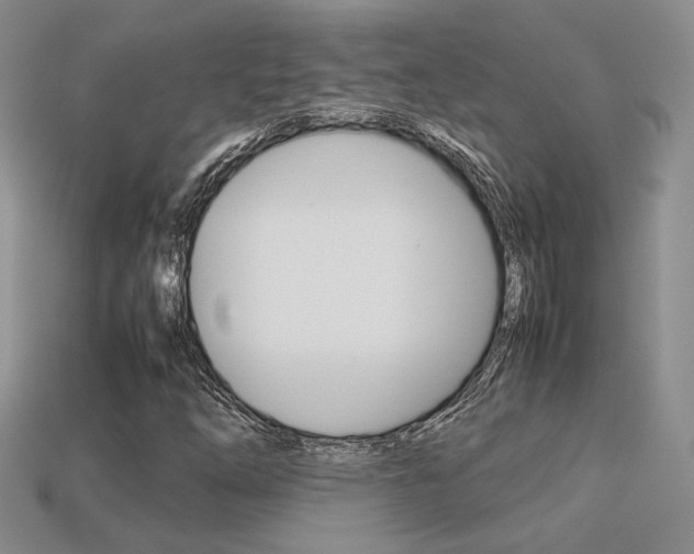 X0000113311254200909140959