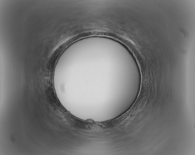 X0000113311255200909140959