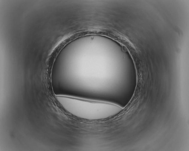 X0000113311256200909140959