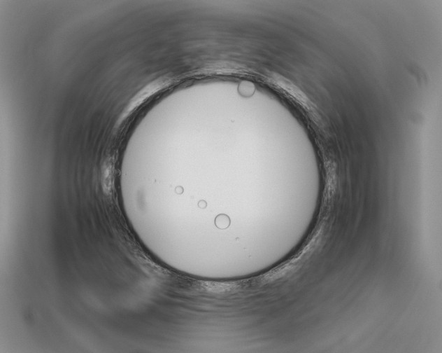 X0000113311258200909140959