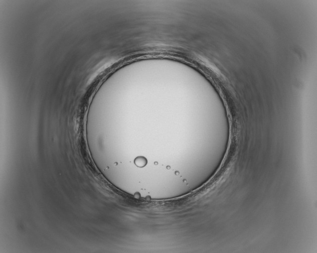 X0000113311259200909140959