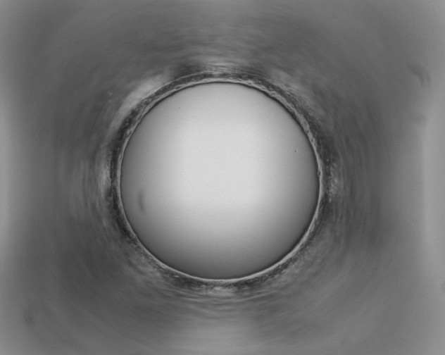 X0000113311261200909140959