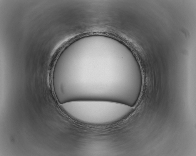X0000113311262200909140959