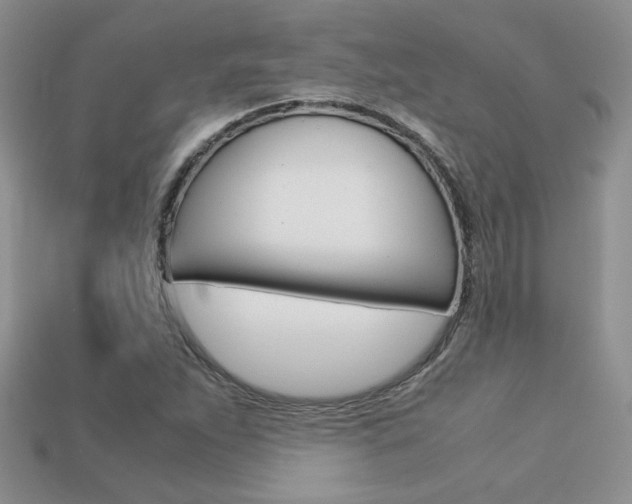 X0000113311263200909140959