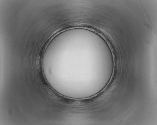 X0000113311265200909140959