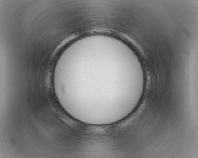X0000113311266200909140959