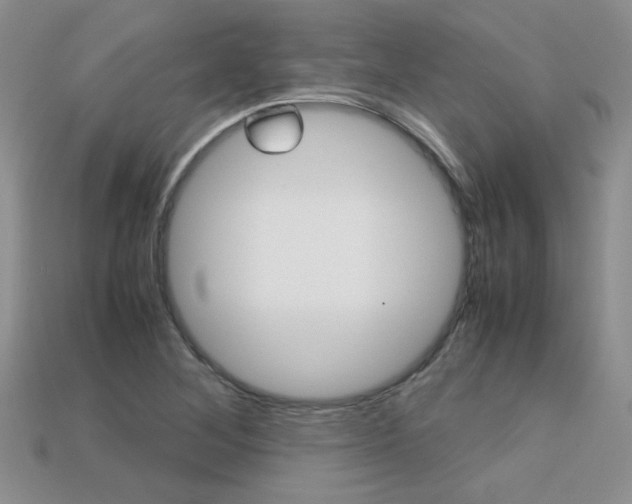 X0000113311268200909140959