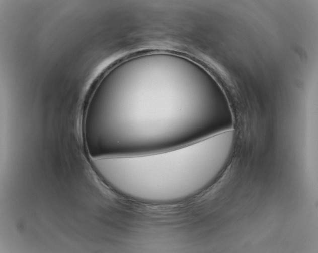 X0000113311272200909140959