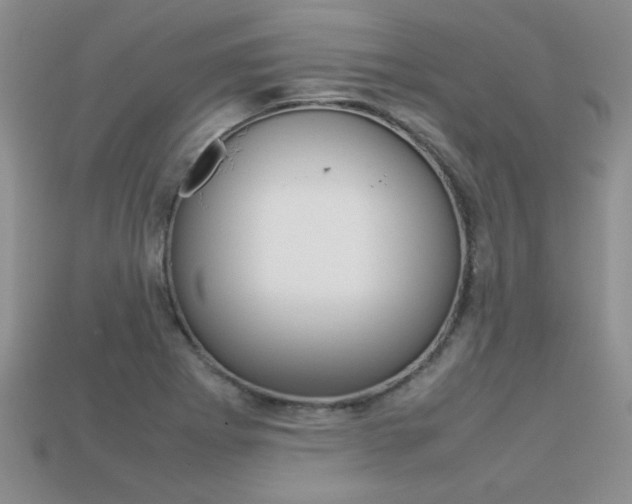 X0000113311273200909140959
