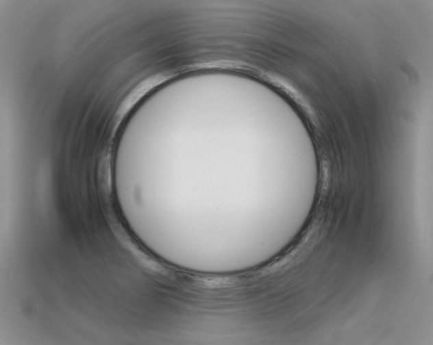 X0000113311274200909140959