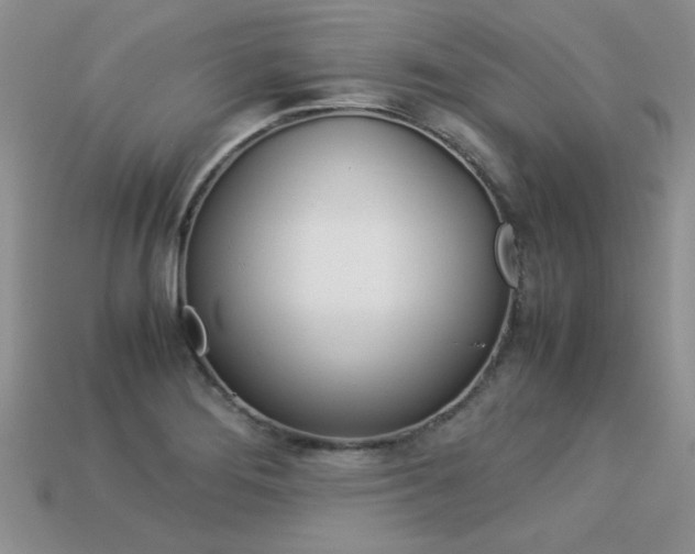 X0000113311276200909140959