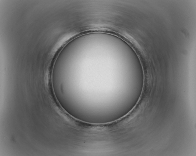 X0000113311277200909140959