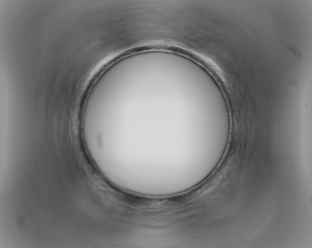 X0000113311279200909140959