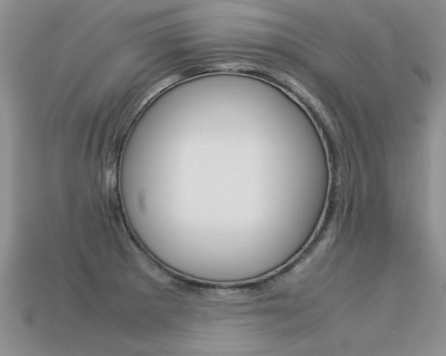 X0000113311281200909140958