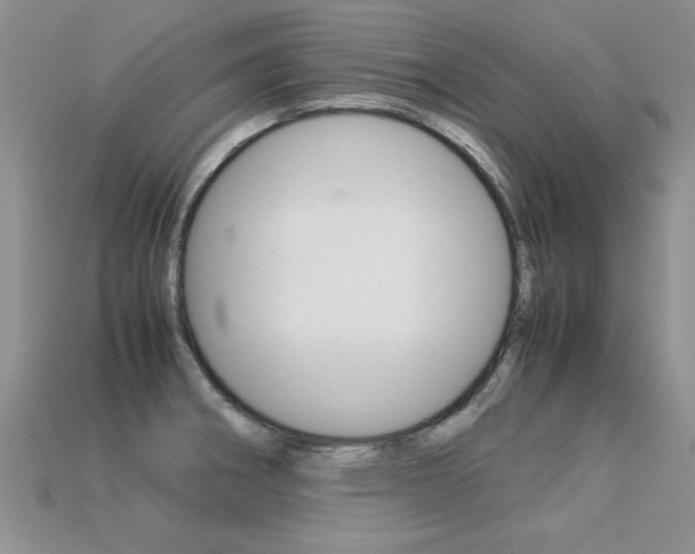 X0000113311282200909140958
