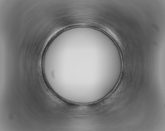 X0000113311283200909140958