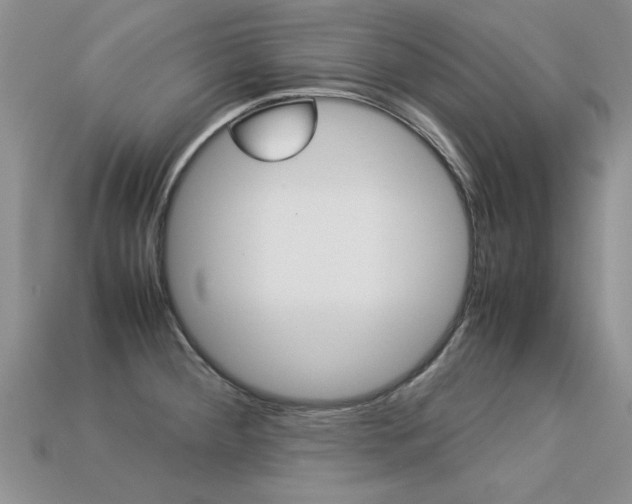 X0000113311284200909140958