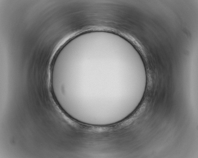 X0000113311286200909140958