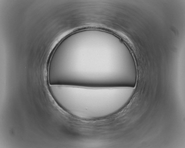 X0000113311287200909140958