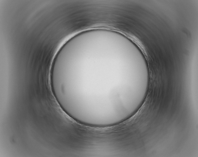 X0000113311288200909140958