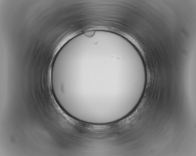 X0000113311290200909140958
