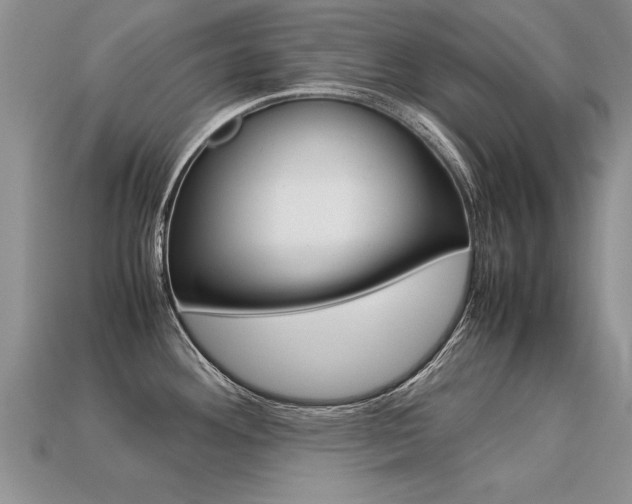 X0000113311292200909140958