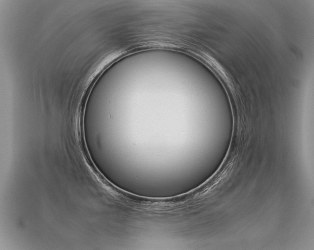 X0000113311293200909140958