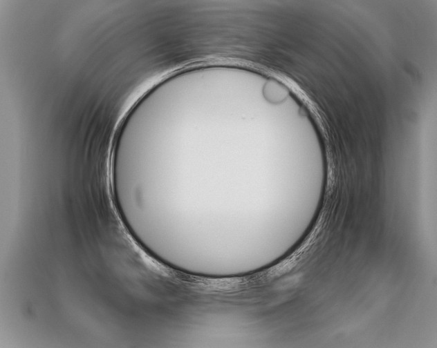 X0000113311294200909140958