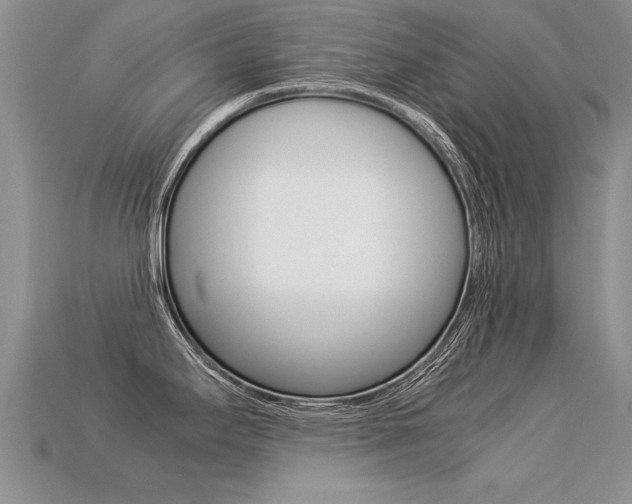 X0000113311295200909140958
