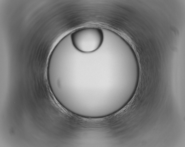 X0000113311296200909140958