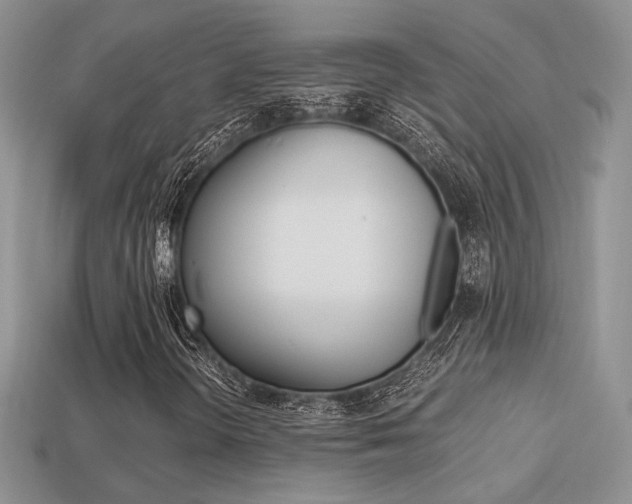 X0000113311298200909140958
