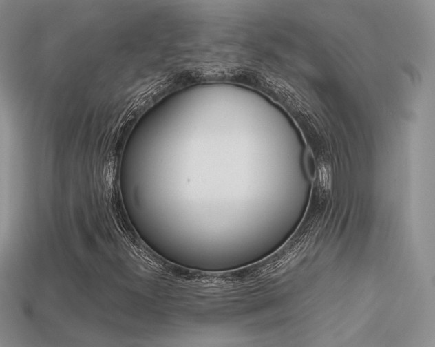 X0000113311300200909140958