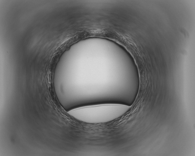 X0000113311301200909140958
