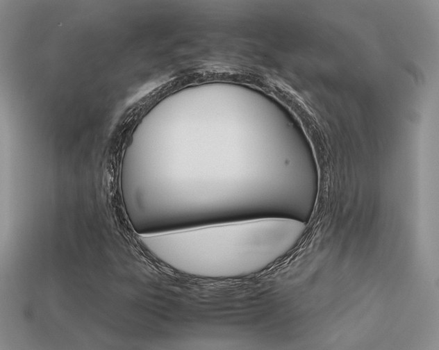 X0000113311303200909140958