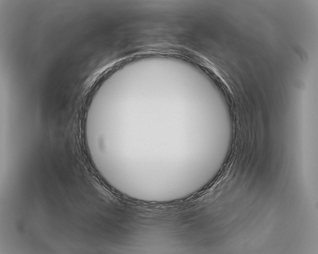 X0000113311304200909140958