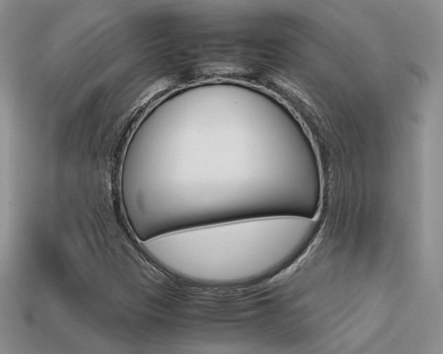 X0000113311305200909140958