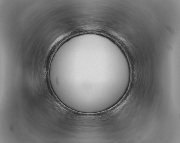 X0000113311306200909140958