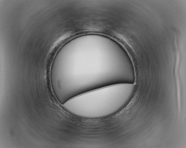 X0000113311307200909140958