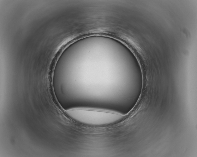 X0000113311308200909140958